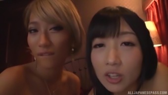 Blonde And Dark Haired Asian Chicks Sucking And Fucking A Cock