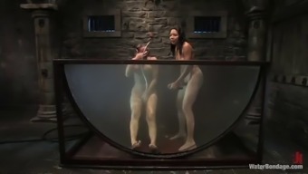 Horny Ladies Have Fun In A Water Bondage Scene