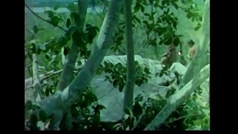 Anoja Weerasinghe – Sexy Old Sinhala Movie