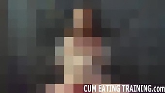 Pov Cum Feeding And Femdom Cei Training Videos
