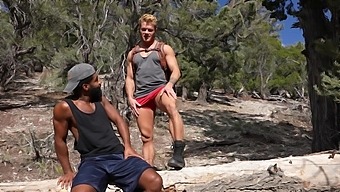 Outdoor Interracial Gay Dicking With Handsome Dudes - Hd