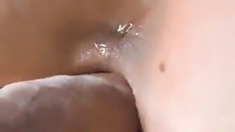 Doggystyle From A Dick'S Pov. Cum Inside Her Twice And Whip Cream