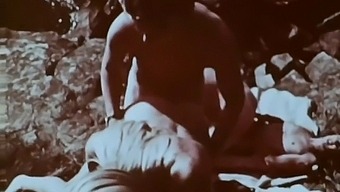 Hot Picnic Sex Movies 3 1975