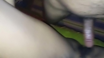 Hd Pov Video Of Indian Slut'S Hairy Pussy And Big Cock