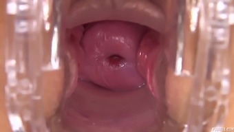 Solo Female Masturbation With A Gaping Hole