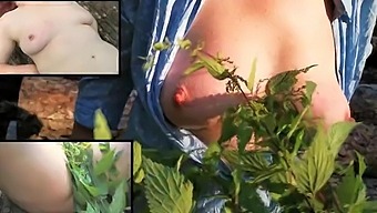Nettle-Themed Bdsm Discipline With Big Boobs, Ass And Pussy