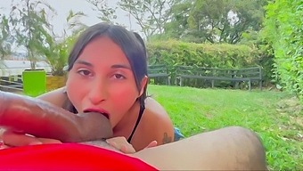 Pov Video Of Big-Titted Latina Giving Handjob And Riding Dick Outdoors